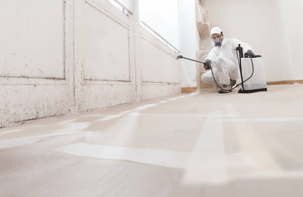24/7 Emergency Mold Remediation experts in Clarksville, TN