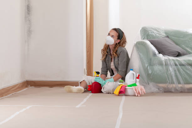 Reliable Mold Remediation contractor in Clarksville, TN by WQB Mold Removal