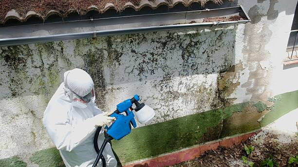 Top rated local Mold Remediation specialists in Clarksville, TN